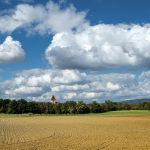 Land Banking in Kenya