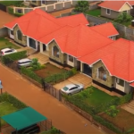 Modern Kenyan bungalow acoustic wood panels